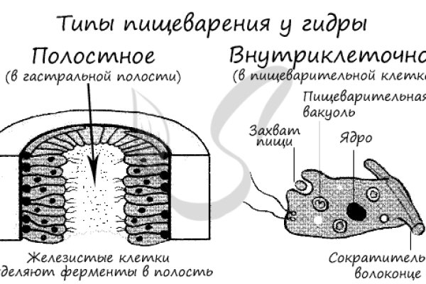 Кракен krk store com