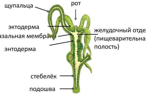 Кракен даркнет зеркало пв