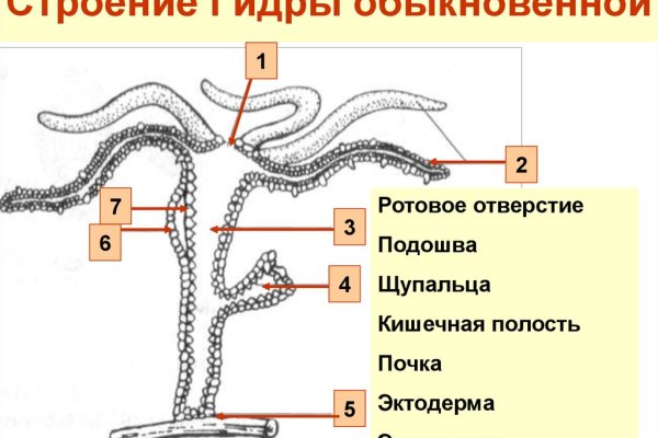 Кракен маркетплейс актуальные ссылки