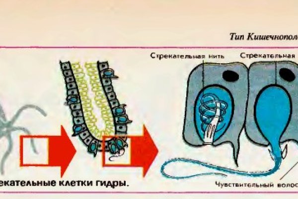 Кракен магазин даркнет