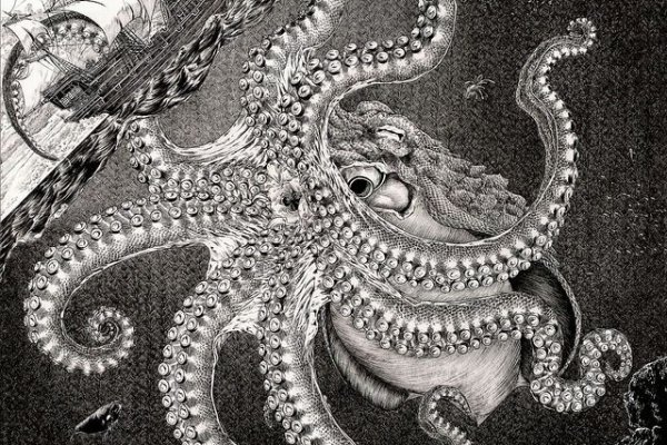 Kraken kraken link24 info